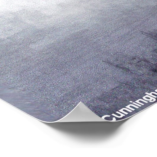 Mirror Lake Poster (Hoek)