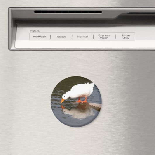 Mirror Magneet (Insitu (Vaatwasser))