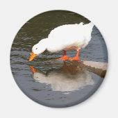 Mirror Magneet (Voorkant)