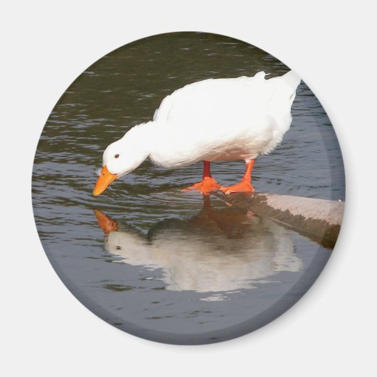 Mirror Magneet (Voorkant)