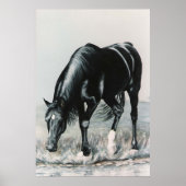 Mirror, Mirror.....afdrukken Poster (Voorkant)