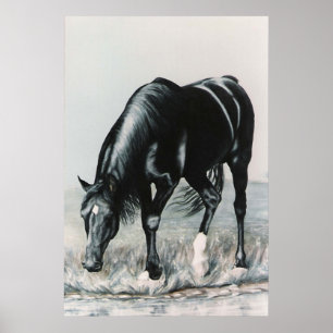 Mirror, Mirror.....afdrukken Poster