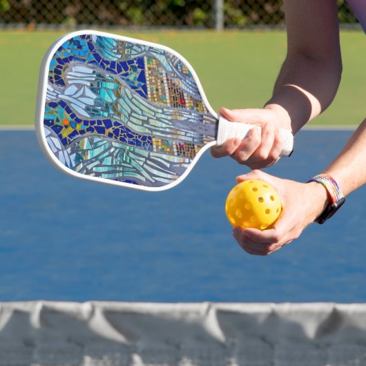Mirror, Mirror, zeg me... Pickleball Paddle (Insitu)
