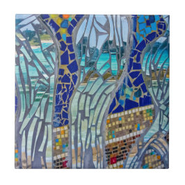 Mirror, Mirror, zeg me... Tegeltje