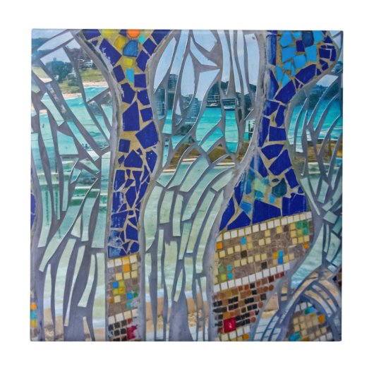 Mirror, Mirror, zeg me... Tegeltje (Voorkant)