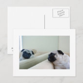 Mirror Pugs Briefkaart (Voorkant / Achterkant)