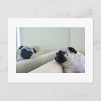 Mirror Pugs Briefkaart
