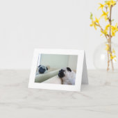 Mirror Pugs-Kaart Kaart (Gele Bloem)