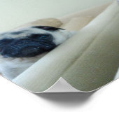 Mirror Pugs Poster (Hoek)