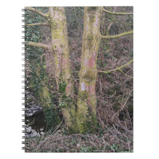 Mirror Trees-Notitieboek Notitieboek