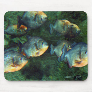 Mirrored Piranha Muismat