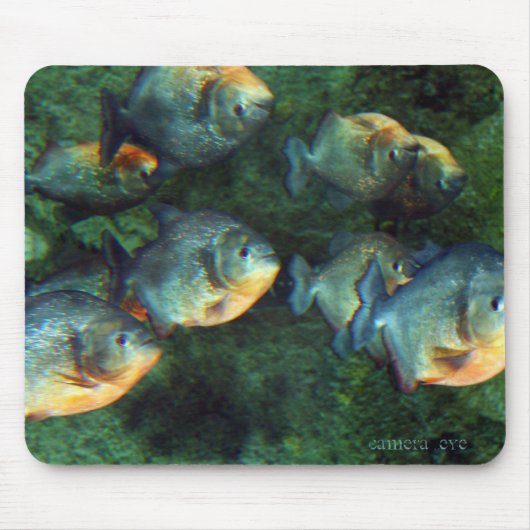 Mirrored Piranha Muismat (Voorkant)