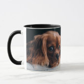 Mirrored Ruby Cavalier King Charles Spaniel Dog Mok (Links)