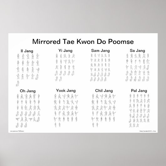 Mirrored Tae Kwon Do Poomse Poster (Voorkant)