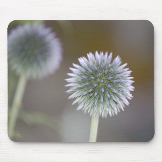 Mirrored Thistles Mousepad Muismat (Voorkant)