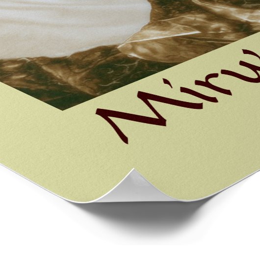 Miru's Poster afdrukken (Hoek)