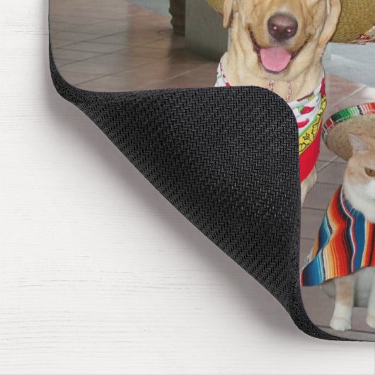 Mis Amigos Muismat (Hoek)