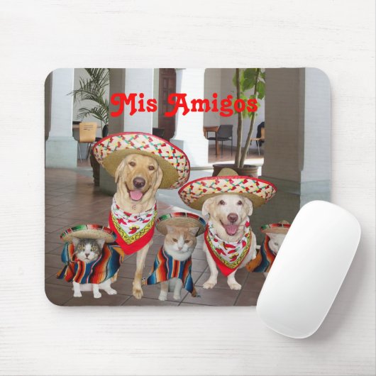 Mis Amigos Muismat (Met muis)