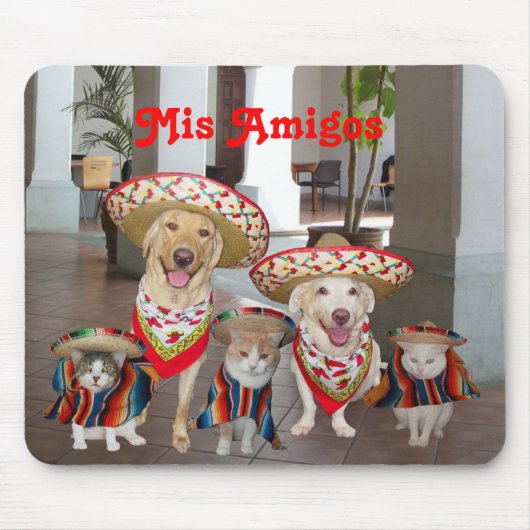 Mis Amigos Muismat (Voorkant)