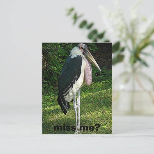 Mis je me? briefkaart (Staand voorkant)