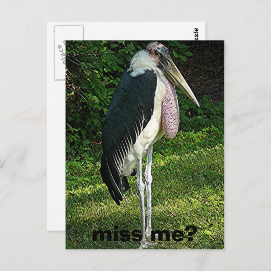 Mis je me? briefkaart (Voorkant / Achterkant)