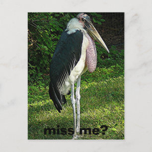 Mis je me? briefkaart