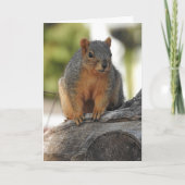 Mis je mijn Nutty Friend! Grappige Eekhoorn Pun Kaart (Voorkant)