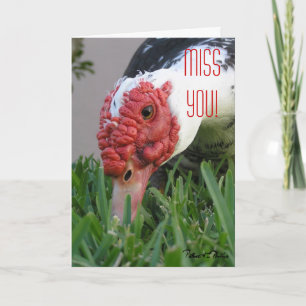 Mis je Oog van de Eend Close-Up Fototemplate Kaart