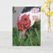 Mis je Oog van de Eend Close-up Fototemplate Kaart (Gele Bloem)