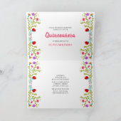 Mis Quince Anos Mexicaanse Fiesta Party Quinceaner (Binnen)