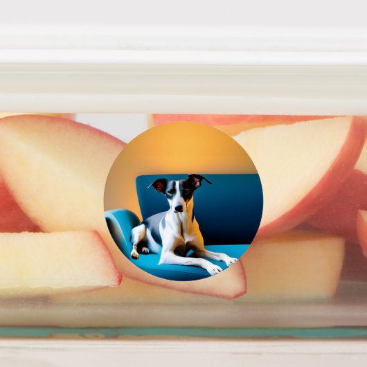 Miscellaneous Animal Stickers (Aangebracht)