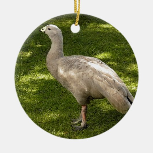 Miscellaneous - Cape Barren Goose Shadows & Light Keramisch Ornament (Voorkant)