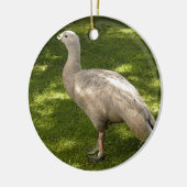 Miscellaneous - Cape Barren Goose Shadows & Light Keramisch Ornament (Links)