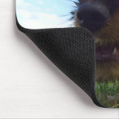 Mischevic Muismat (Hoek)