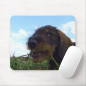 Mischevic Muismat (Met muis)