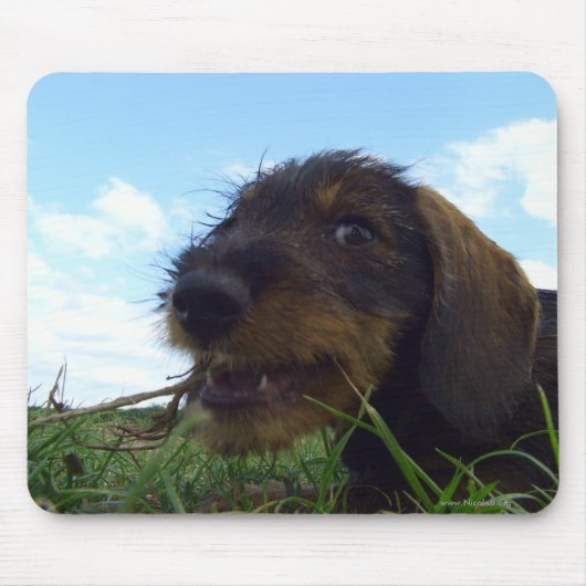 Mischevic Muismat (Voorkant)