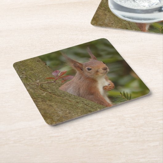 Mischevous Red Squirrel Kartonnen Onderzetters (Schuin)