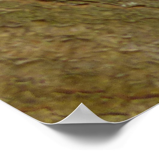 Mischevous Red Squirrel Poster (Hoek)