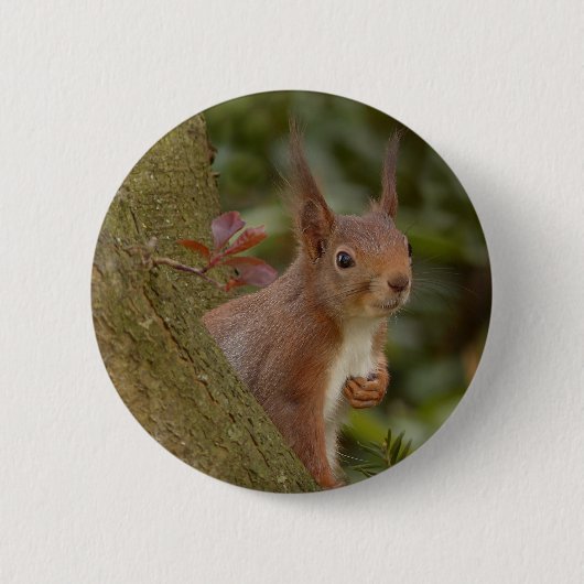 Mischevous Red Squirrel Ronde Button 5,7 Cm (Voorkant)