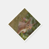 Mischevous Red Squirrel Servet (Hoek)