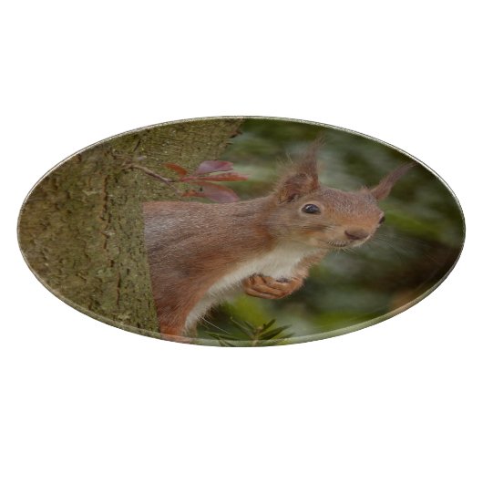 Mischevous Red Squirrel Snijplank (Hoek)