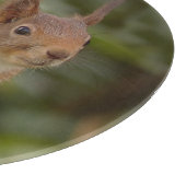 Mischevous Red Squirrel Snijplank (Hoek)