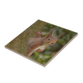 Mischevous Red Squirrel Tegeltje (Zijkant)