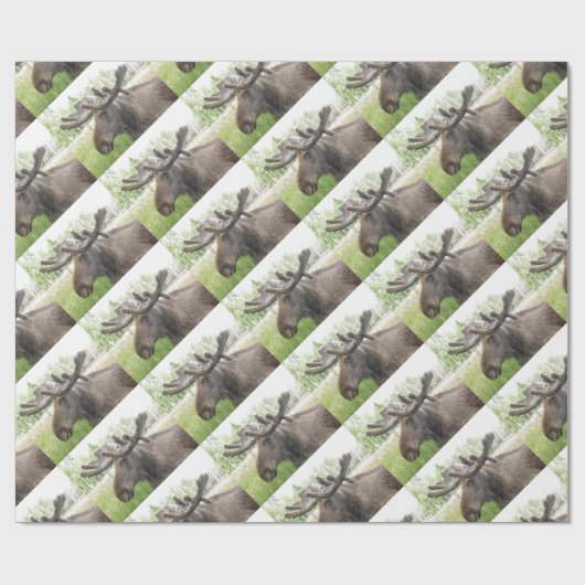 Mischiearian Moose Cadeaupapier (Vlak)