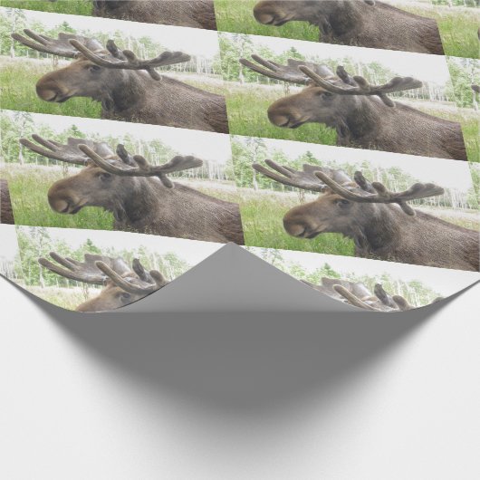 Mischiearian Moose Cadeaupapier (Hoek)