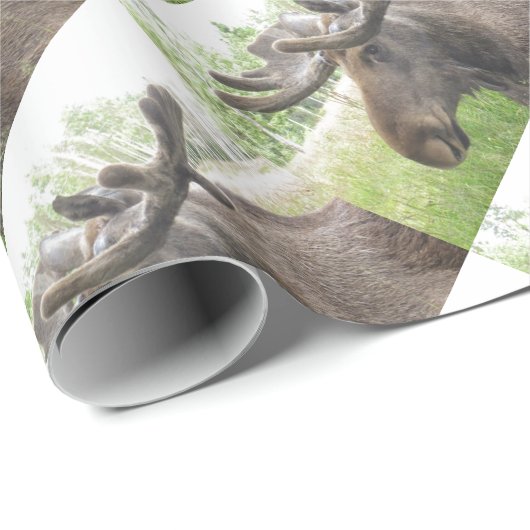 Mischiearian Moose Cadeaupapier (Rol Hoek)