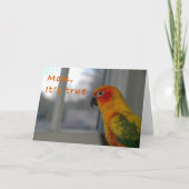 Mischief Kaart (Voorkant)