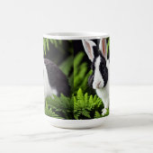 Mischief the Black and White Bunny, Mok (Center)