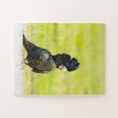 Mischievous Black Cockatoo Portrait Legpuzzel (Horizontaal)