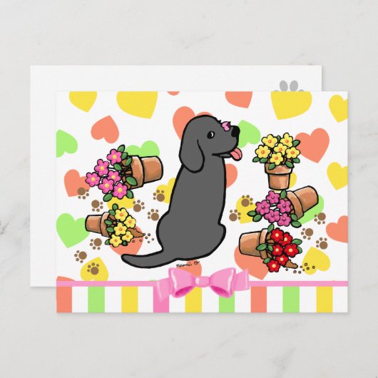 Mischievous Black Labrador Briefkaart (Voorkant / Achterkant)